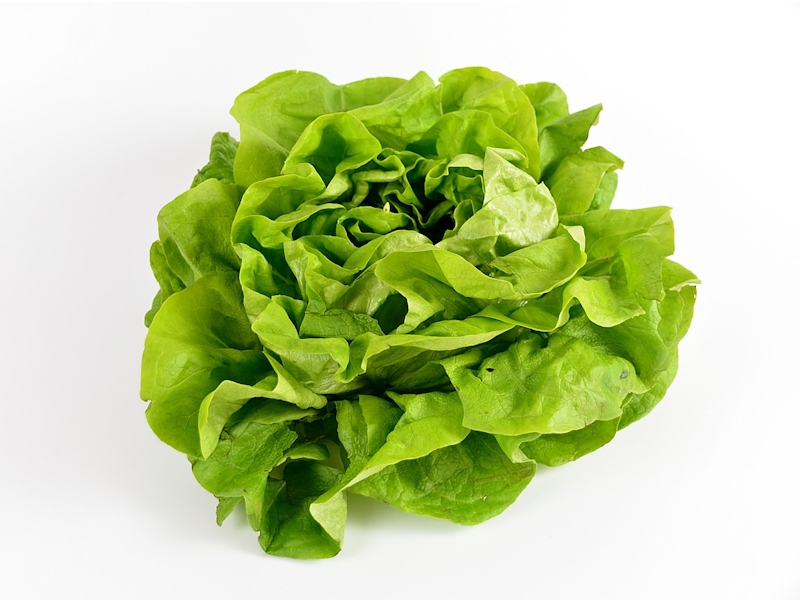 Butterhead บัตเตอร์เฮด