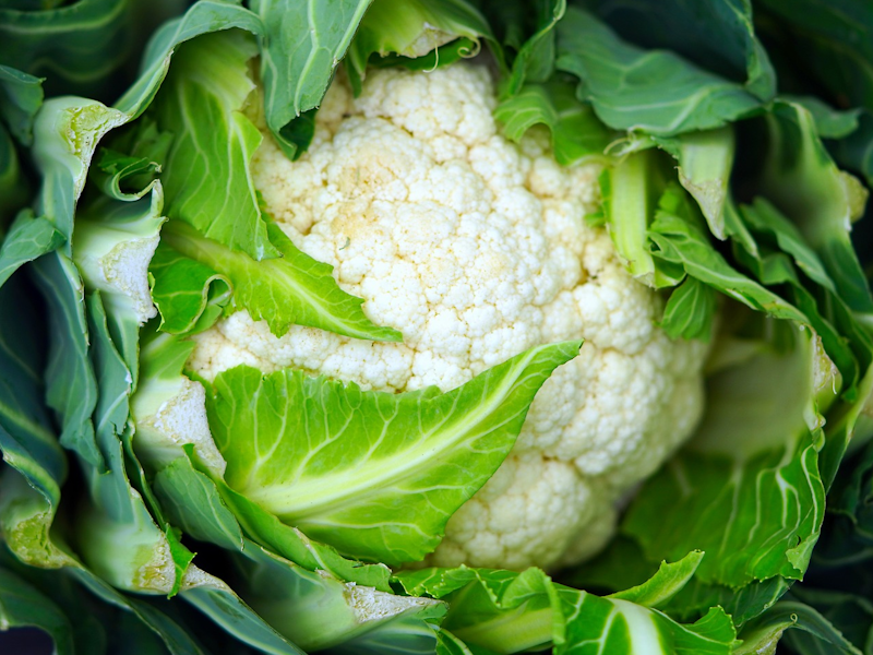 Cauliflower ดอกกะหล่ำ