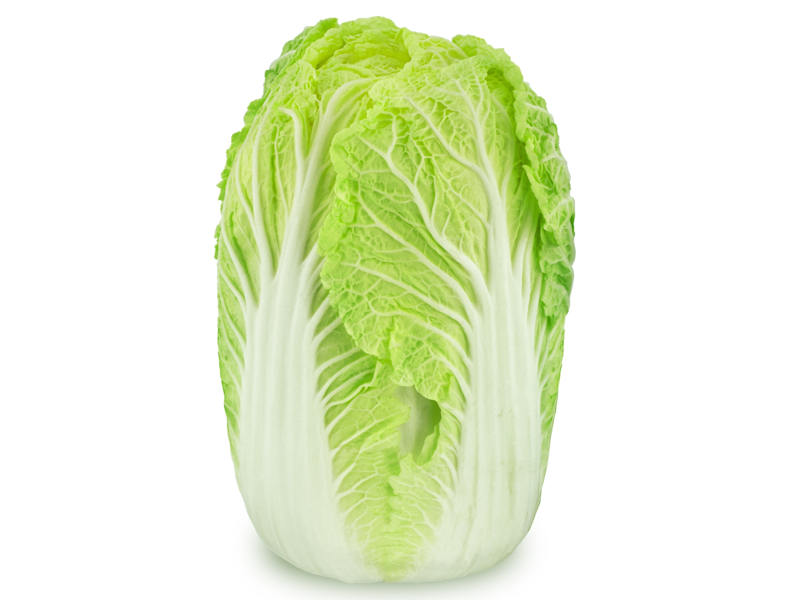 Chinese cabbage ผักกาดขาวปลี