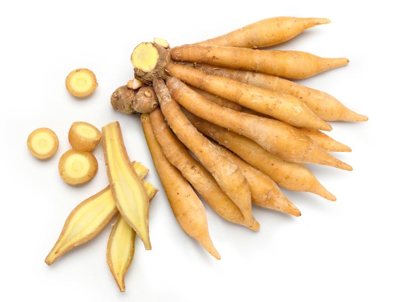 Fingerroot กระชาย