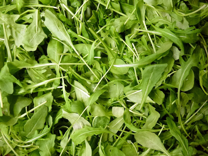 Rocket ร็อคเก็ต