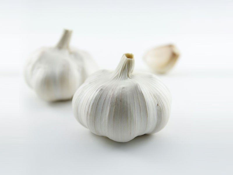 Garlic