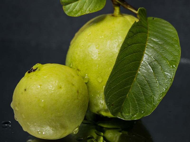 guava ฝรั่ง