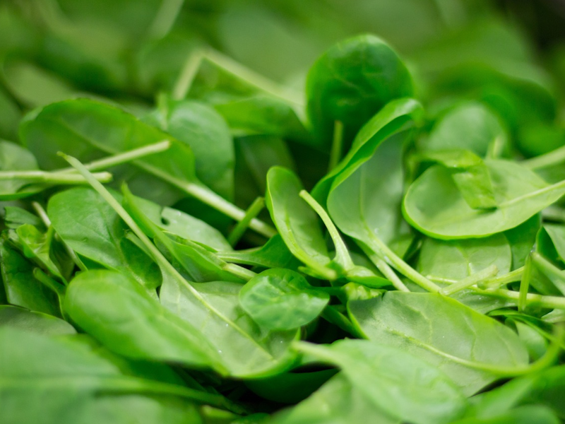 Leaf Vegetable Group