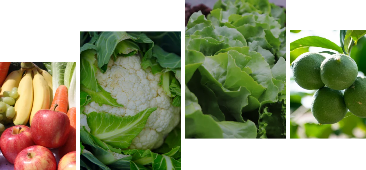 Contact beGreaterFarm